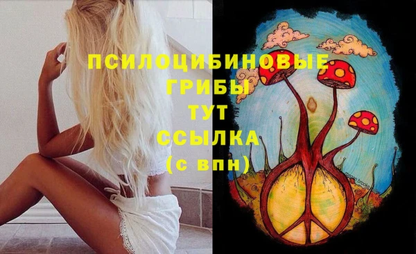 ALPHA-PVP Алексеевка